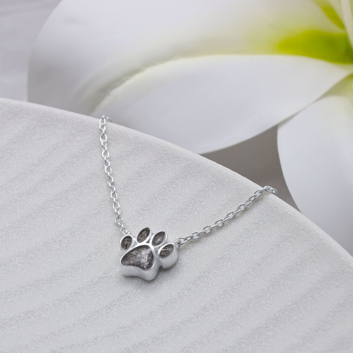 Colgante con Cenizas de Mascota en Huella de Plata y Cadena Integrada