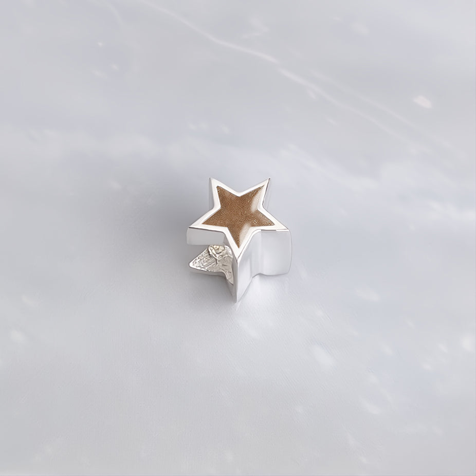Charm con pelo · Estrella de plata con pelo de tu mascota