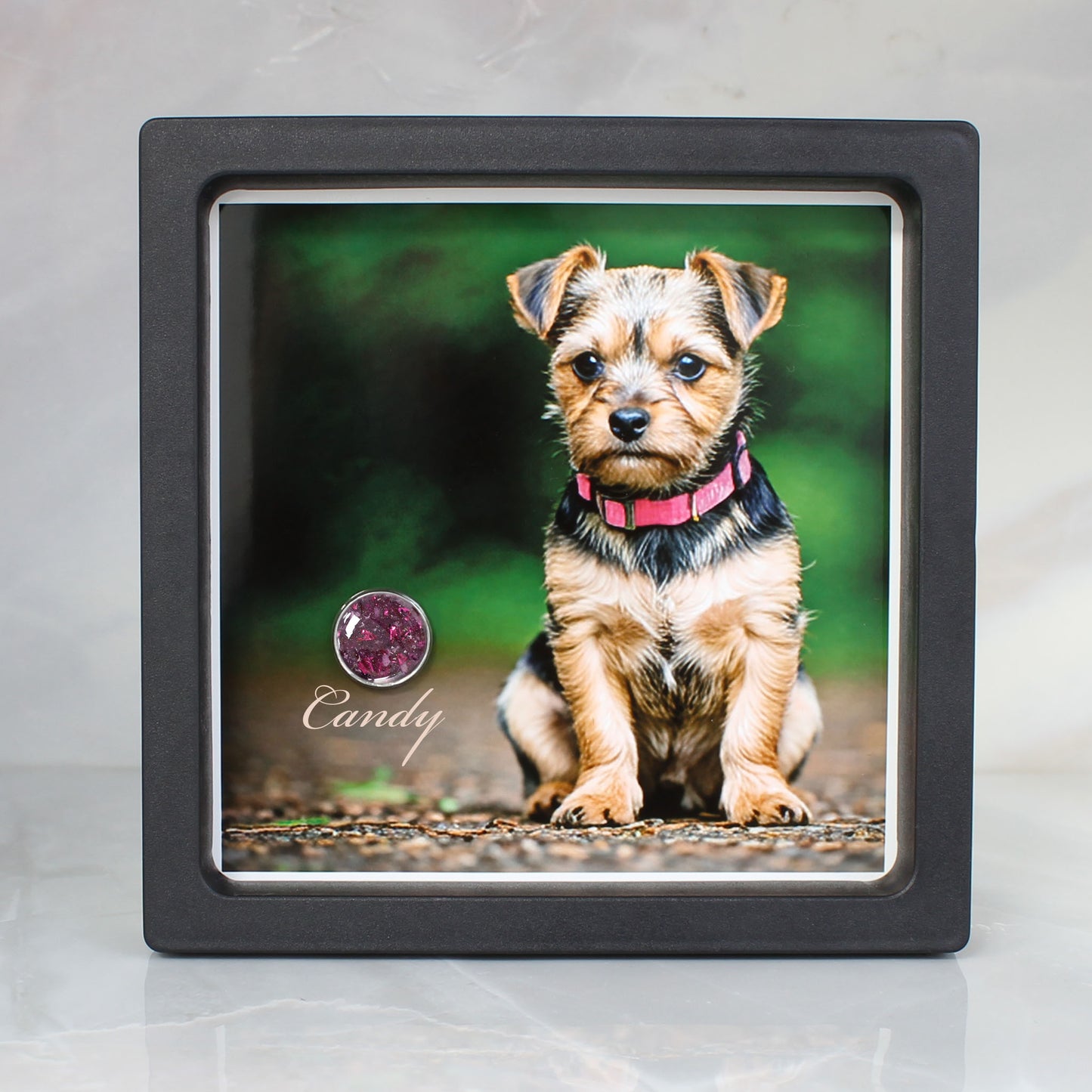 Foto Recuerdo con Placa de Cenizas en Acero Inoxidable