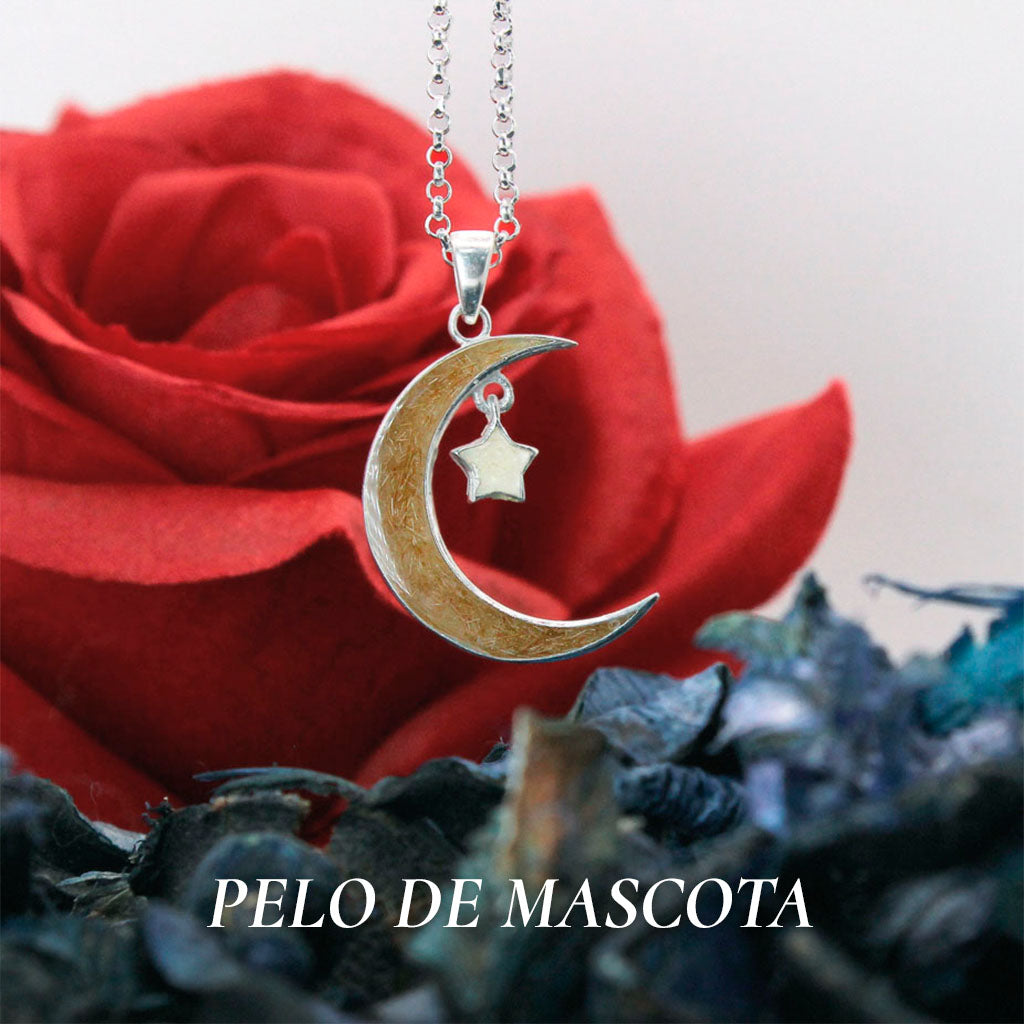 Colección de Joyas con Pelo de Mascota