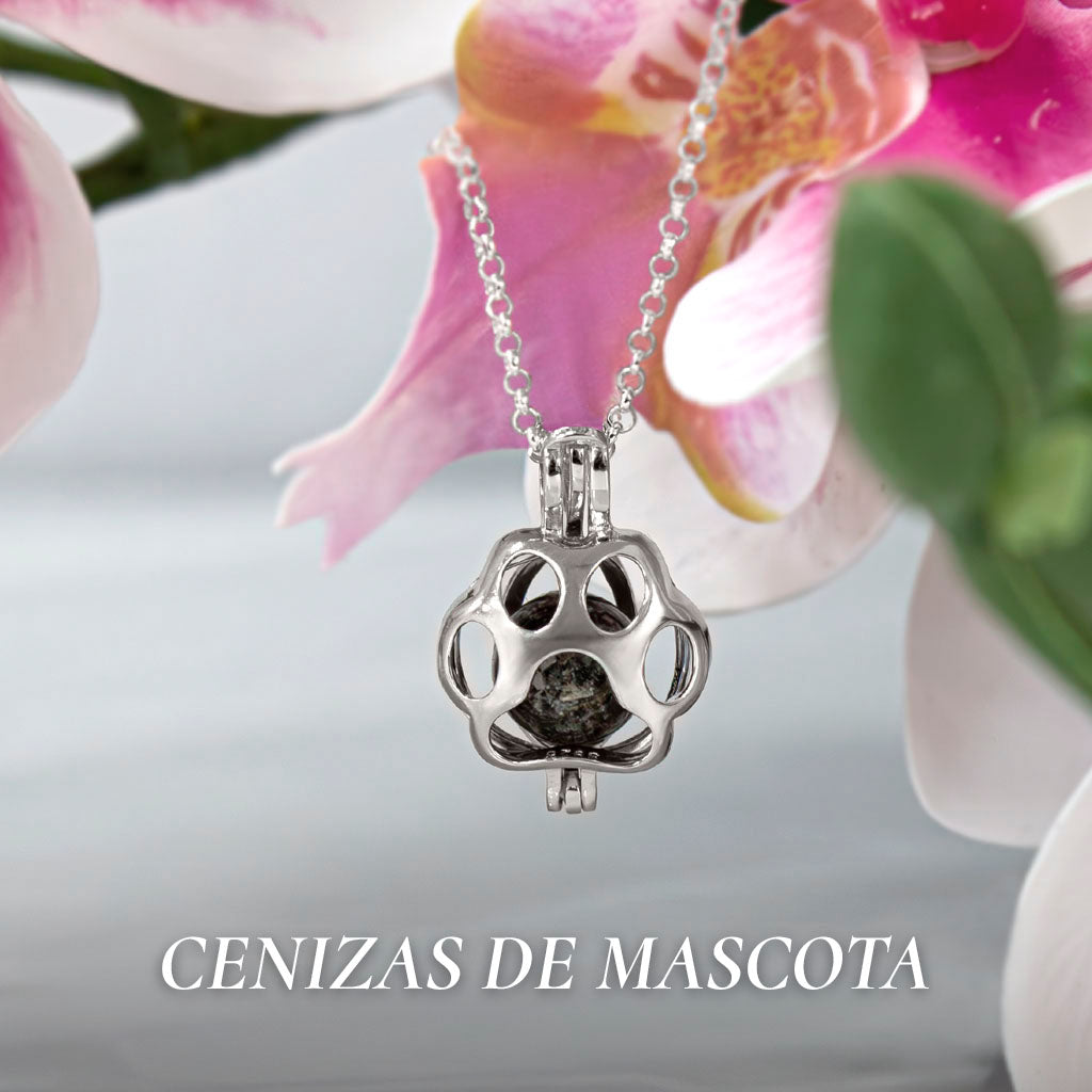 Colección de Joyas con Cenizas de Mascota