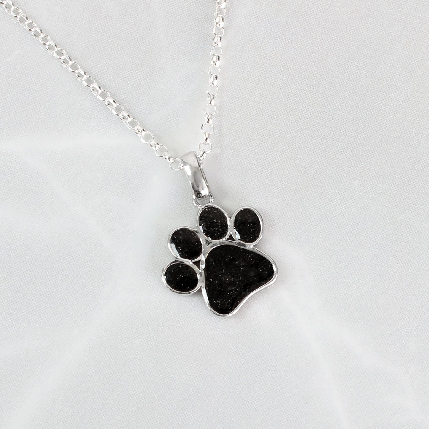 Colgante de Plata de Ley en Huella de Mascota, con Cenizas o Pelo