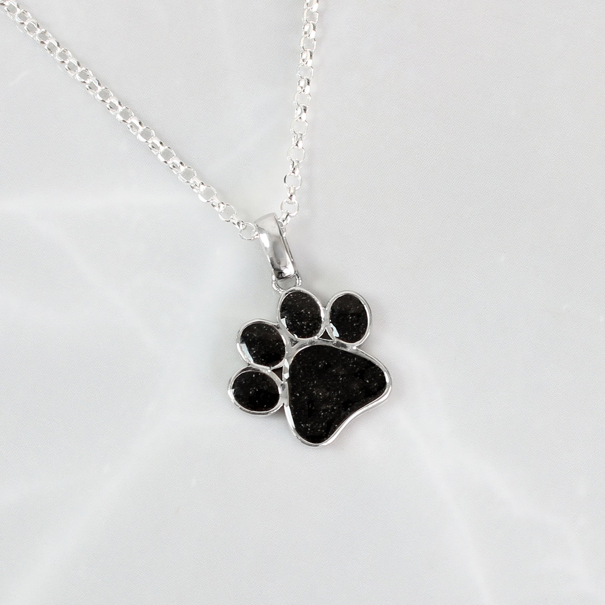 Colgante de Plata de Ley en Huella de Mascota, con Cenizas o Pelo